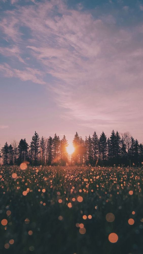 Calendario astrológico Febrero&nbsp;2024